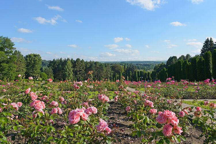 Фото точки Парк «Долина роз»